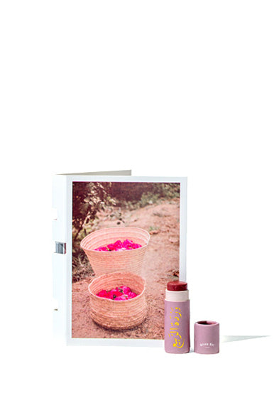 Tinted Island Rose Lipbalm Bulk Gifting