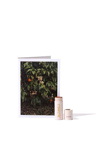 Tinted Neroli & Mastic Lipbalm 5g