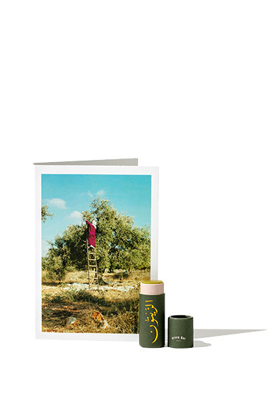 Sweet Olive Lipbalm 5g