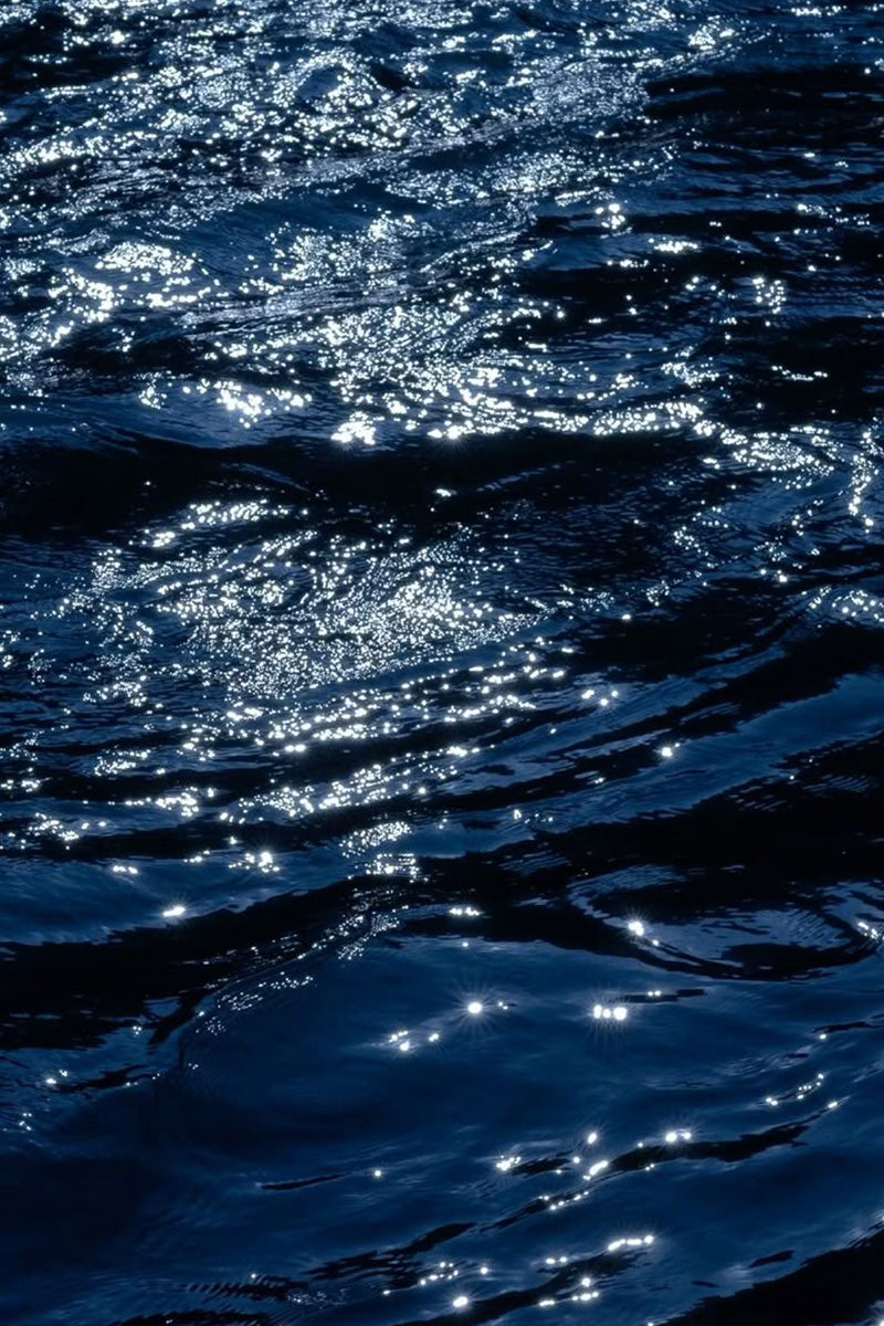 Muscle Recovery Treatment Oil 60ml